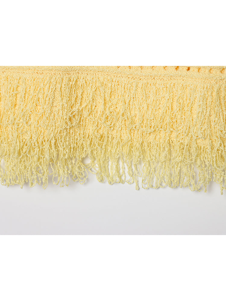 Women's New Fashion tassel decoration short plaid knitted top