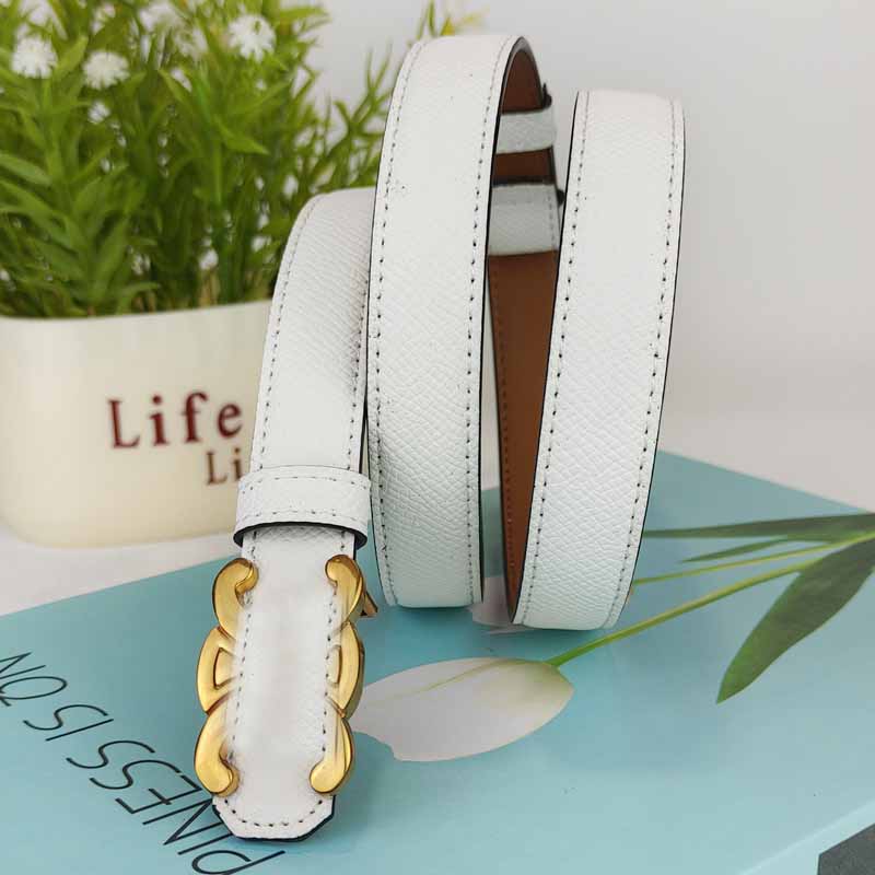 Women's New Fashion Joker High Quality Adjustable Length Design Metal Decorative Belt Belt.