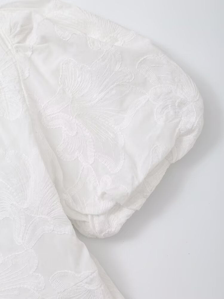 Women's new fashion slim short sleeved V-neck embroidered fluffy mini dress