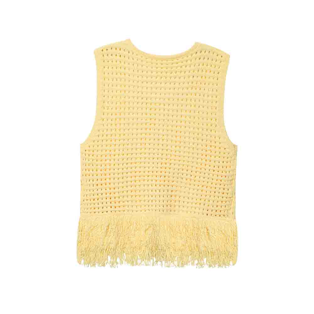 Women's New Fashion tassel decoration short plaid knitted top